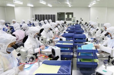 廈門 7萬崗位面朝大海，有色金屬壓延加工行業誠邀英才